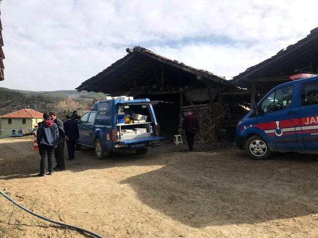 Ağaç kesimi sırasında çıkan kavgada 3 aile birbirlerine ateş açtı: 1 ölü, 2 yaralı Ağaç kesimi sırasında çıkan kavgada 3 aile birbirlerine ateş açtı: 1 ölü, 2 yaralı