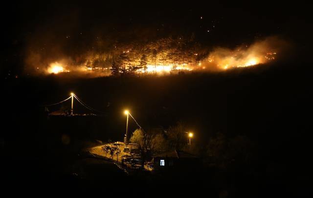 Kabus geri döndü! Bursa, Çanakkale ve Bilecik'te çıkan orman yangınları kontrol altına alındı