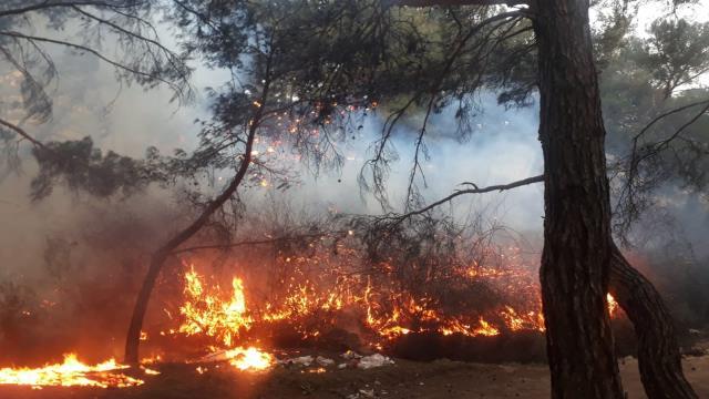 Kabus geri döndü! Bursa, Çanakkale ve Bilecik'te çıkan orman yangınları kontrol altına alındı