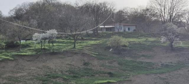 Pompalı tüfekle dehşet saçıp eşi ile oğlunu öldürdü, kendisi ile kızını da yaraladı