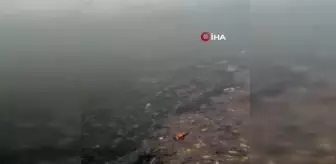 Kocaeli körfezi çöplüğe döndü