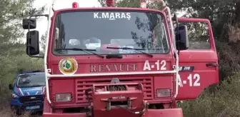 Hatay'da çıkan orman yangını söndürüldü