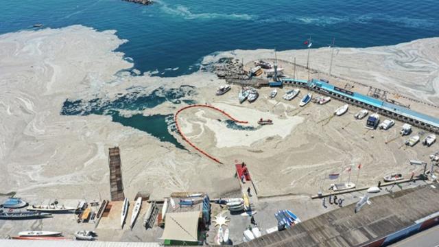 Komisyon raporu: Müsilajın nedeni sudaki besin maddesi oranının artması