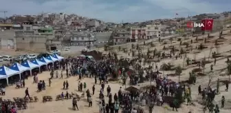 Şahinbey'deki boş arazi ormana dönüşüyor: Bin 71 ağaca ilk can suyu öğrencilerden