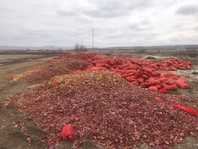 Sebzelerin çöpe döküldüğü görüntüler tepki çekmişti! Ticaret Bakanlığı, işin aslını açıkladı Sebzelerin çöpe döküldüğü görüntüler tepki çekmişti! Ticaret Bakanlığı, işin aslını açıkladı