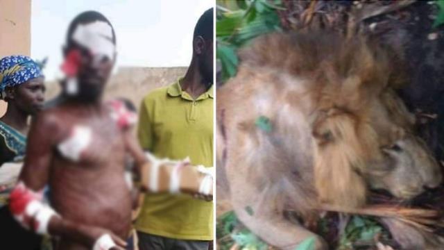 Tüm köylü bu olayı kulaktan kulağa dillendiriyor! Ormanın içinde aslan ve insanın yaşadıkları hadise korkunç Tüm köylü bu olayı kulaktan kulağa dillendiriyor! Ormanın içinde aslan ve insanın yaşadıkları hadise korkunç