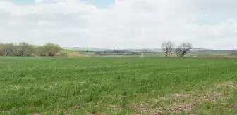 Memleket Partisi Genel Başkanı İnce, çiftçiye ürün alım garantisi verilmesini istedi