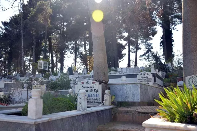 Mezar başında korkuyla dua ediyorlar: Kesilemeyince yarım bırakılan ağaç tehlike oluşturuyor Mezar başında korkuyla dua ediyorlar: Kesilemeyince yarım bırakılan ağaç tehlike oluşturuyor