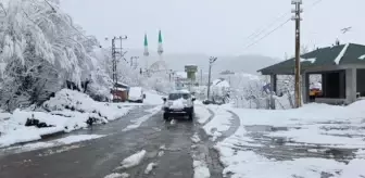 Yedisu'da kar yağışı etkili oldu