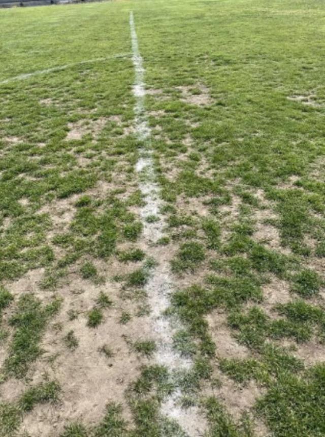 Türk futbolunun utanç kareleri! Başakşehir maçından gelen fotoğraflar pes dedirtti