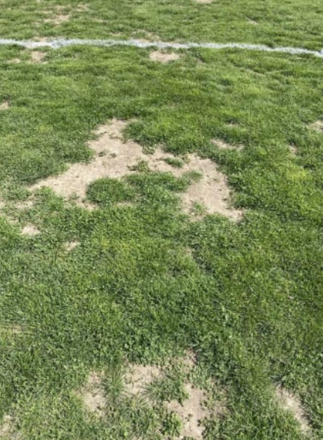 Türk futbolunun utanç kareleri! Başakşehir maçından gelen fotoğraflar pes dedirtti