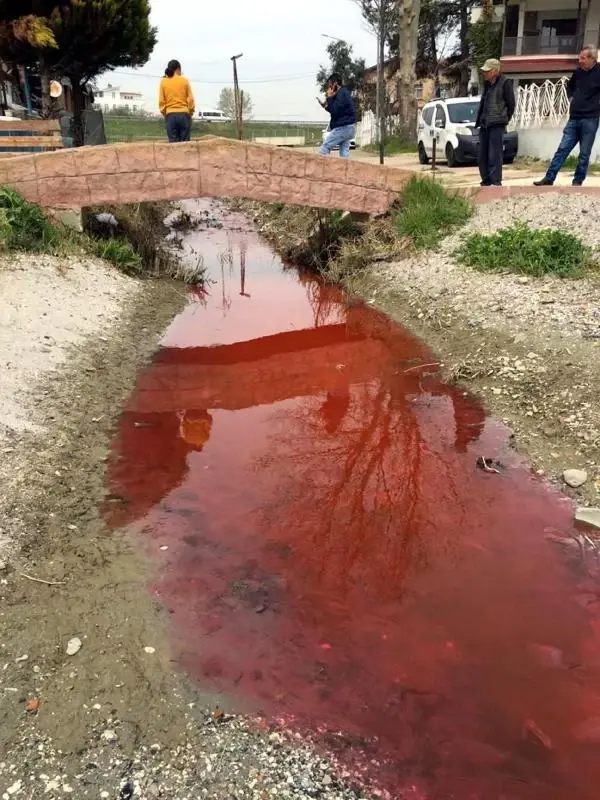 Marmara Denizi'ni kırmızıya bürüyen tesise 500 bin lira ceza kesildi, faaliyetleri durduruldu