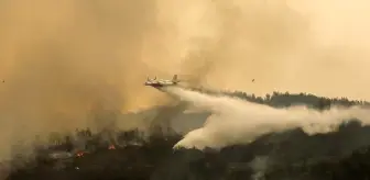 Ormanlık alanda çıkan yangın kontrol altına alındı