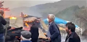 Tokat'ta ahır yangınında 3 buzağı telef oldu