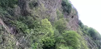 Yamaçtan kopan kaya parçaları temizlendi, Hopa-Kemalpaşa karayolu ulaşıma açıldı