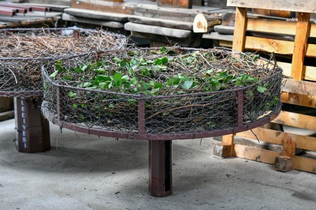 ABB'den sıcacık proje: Atık malzemeler geri dönüştürülerek göçmen kuşlara özel yuva yapıldı