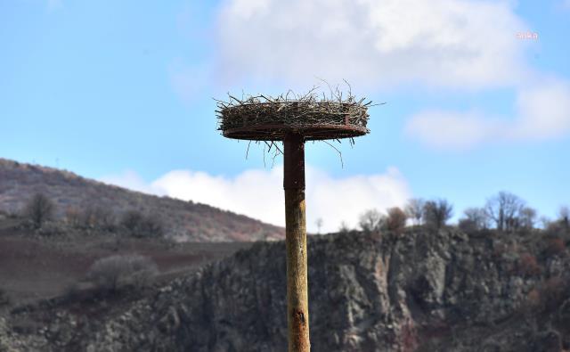 ABB'den sıcacık proje: Atık malzemeler geri dönüştürülerek göçmen kuşlara özel yuva yapıldı