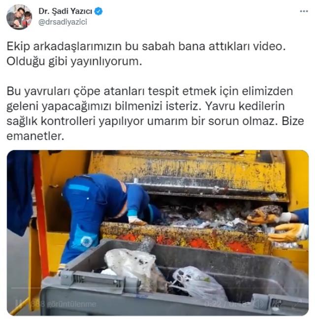 Tuzla Belediye Başkanı Şadi Yazıcı, çöpe atılan yavru kedilerin kurtarıldığı anları paylaştı Tuzla Belediye Başkanı Şadi Yazıcı, çöpe atılan yavru kedilerin kurtarıldığı anları paylaştı