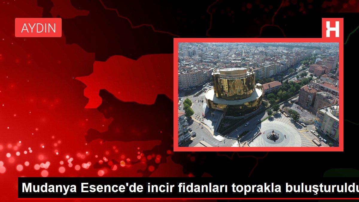 Mudanya Esence'de incir fidanları toprakla buluşturuldu