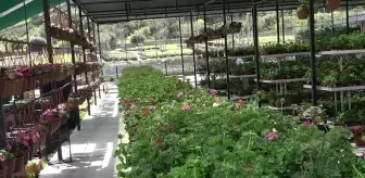 Alibeyköy Bahçe Market Sorumlusu Özok: 2-3 Haftada 156 Bin Sebze Fidesi Sattık