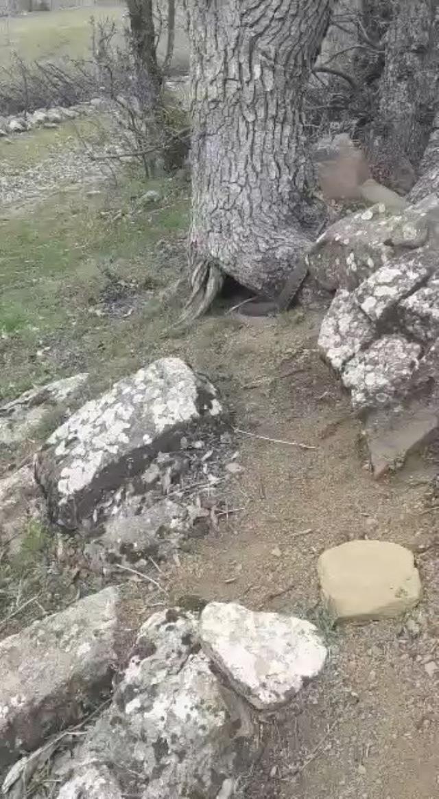 Elazığ'da dev yılan görenleri korkuttu