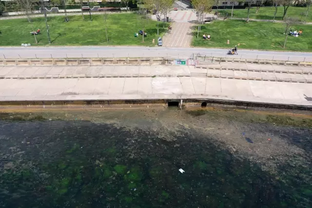 İstanbul'da bazı sahillerde müsilaj benzeri kirlilik görüldü