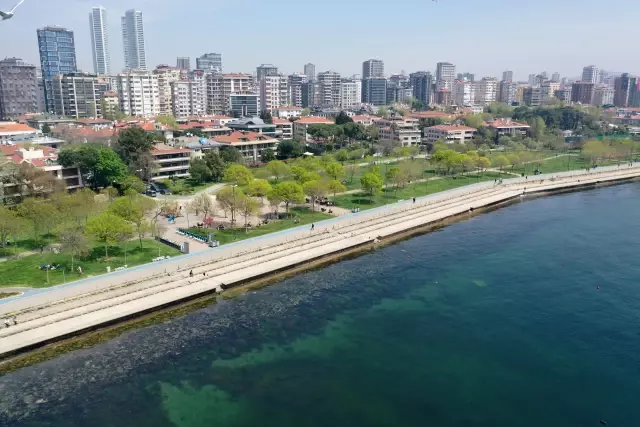 İstanbul'da bazı sahillerde müsilaj benzeri kirlilik görüldü