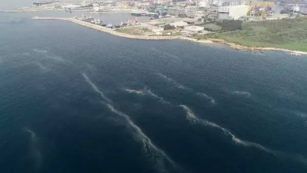 Korkutan görüntü; müsilaj her geçen dakika artıyor