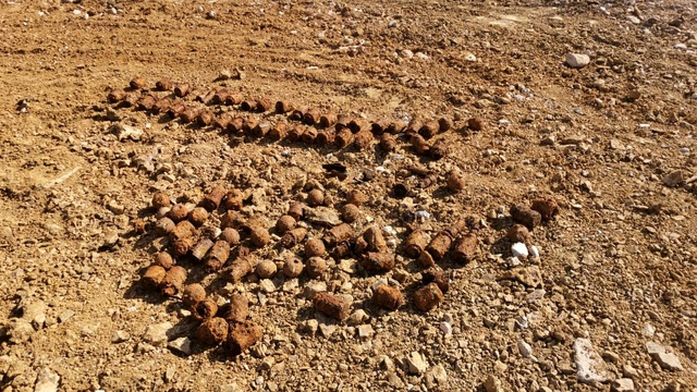 Toprağa gömülü bulunan yüzlerce bombanın sırrı çözülüyor Toprağa gömülü bulunan yüzlerce bombanın sırrı çözülüyor
