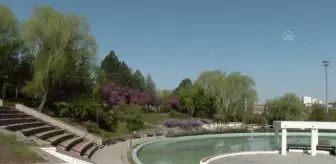 Ankara'da ilkbahar