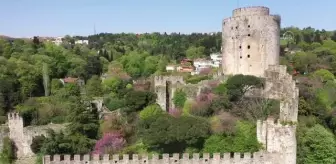 Erguvanlar, İstanbul Boğazı'nı taçlandırdı