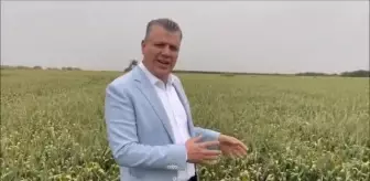 Ayhan Barut: Buğday Taban Fiyatını Hemen Açıklayın