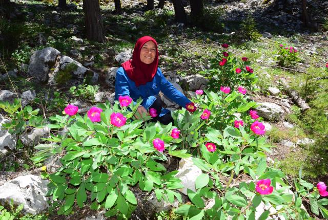 Yılda 10 gün açıyor! Güzelliğine aldanıp koparan 109 bin lira ceza öder
