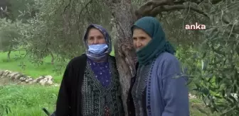 Enerji ve Tabii Kaynaklar Bakanlığı, Zeytinlikleri Madenciliğe Açan Yönetmeliği Savundu: 'Her Maden İşletme Faaliyetinin Kimyevi Atık Bırakacağının,...