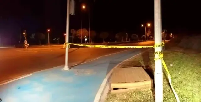 Traktörün pulluğunu çalan hırsıza kurşun yağdırırken yanlışlıkla yeğenini kafasından vurdu