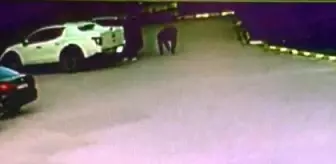 Ağabeyini tabanca ile yaralayan eski milletvekili serbest