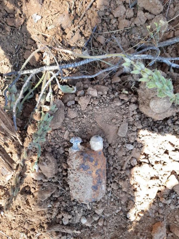 Ormanlık alanda yürüyen köylüler patlamamış bomba tespit etti! Hemen polis arandı