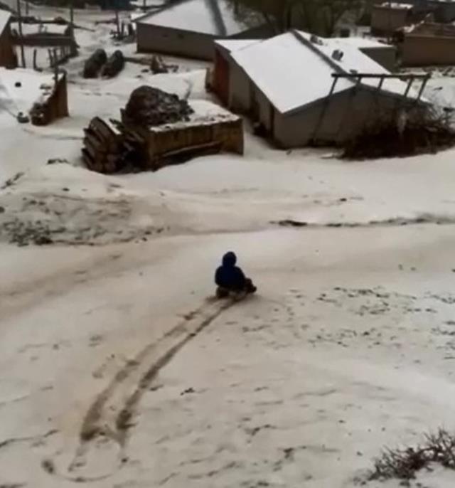 Ahlat'ta Mayıs ayında kar yağdı, halk kızaklarını alıp sokağa çıktı