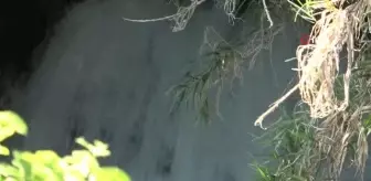Yağışlar akarsuların su seviyesini yükseltti