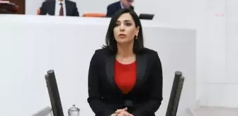 Candan Yüceer, Yeni İlaçlarda Yaşanan İthalat Sorununu TBMM Gündemine Taşıdı: 'Hastalar İlaçların Yüzde 79'una Erişemiyor'