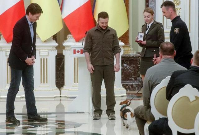 Zelenski'den Rus mayınlarını tespit eden köpeğe devlet nişanı