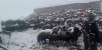 Besiciler Mayıs ayında yaylada kar engeline takıldı