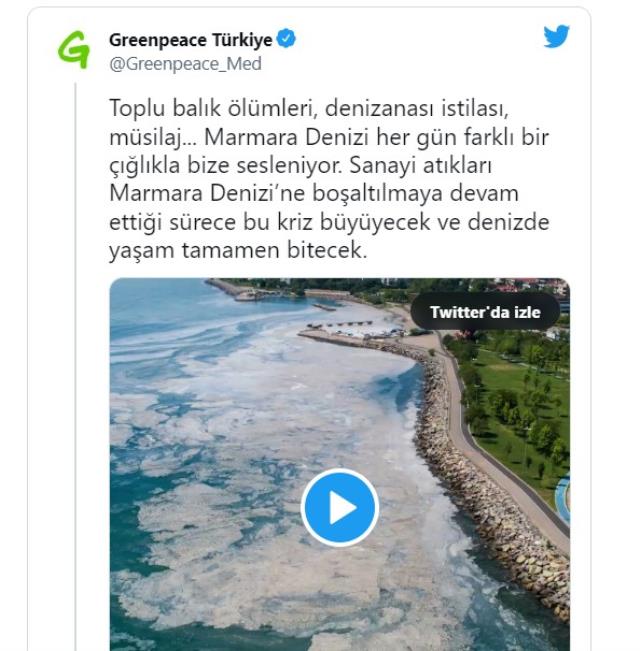 Greenpeace'ten Marmara Denizi için kırmızı alarm: Toplu balık ölümleri, denizanası istilası, müsilaj uyarısı Greenpeace'ten Marmara Denizi için kırmızı alarm: Toplu balık ölümleri, denizanası istilası, müsilaj uyarısı