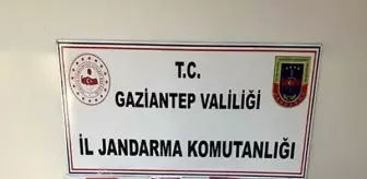 Son dakika haberi | Jandarmadan siber dolandırıcılara operasyon: 10 tutuklama