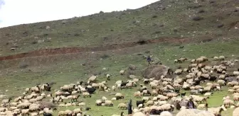 Kar ve tipi nedeniyle mahsur kalan göçerler kurtarıldı