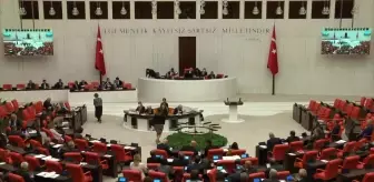CHP'li Yüceer, Kadına Şiddetle İlgili Kanun Teklifini Eleştirdi: 'Teşhisi Doğru Koymadan Sorunu Nasıl Çözeceksiniz?'
