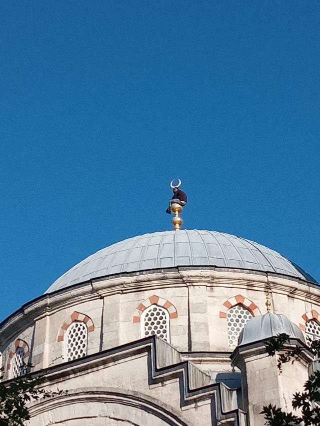 İntihar etmek için Şişli Camii'nin alemine çıktı, vazgeçip fotoğraf çekti