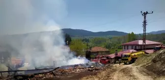 Kastamonu'da iki ev ve samanlık alevlere teslim oldu