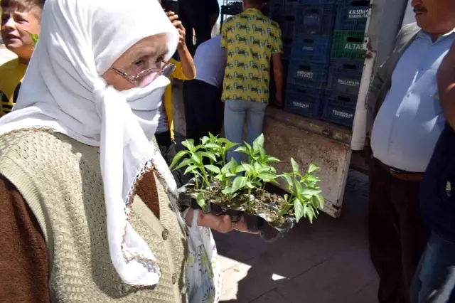 Ücretsiz olduğunu duyan koştu, 16 bin adet sebze fidesi dağıtıldı