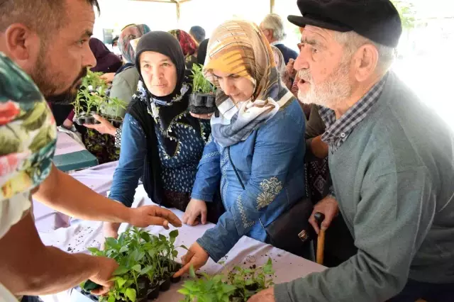 Ücretsiz olduğunu duyan koştu, 16 bin adet sebze fidesi dağıtıldı